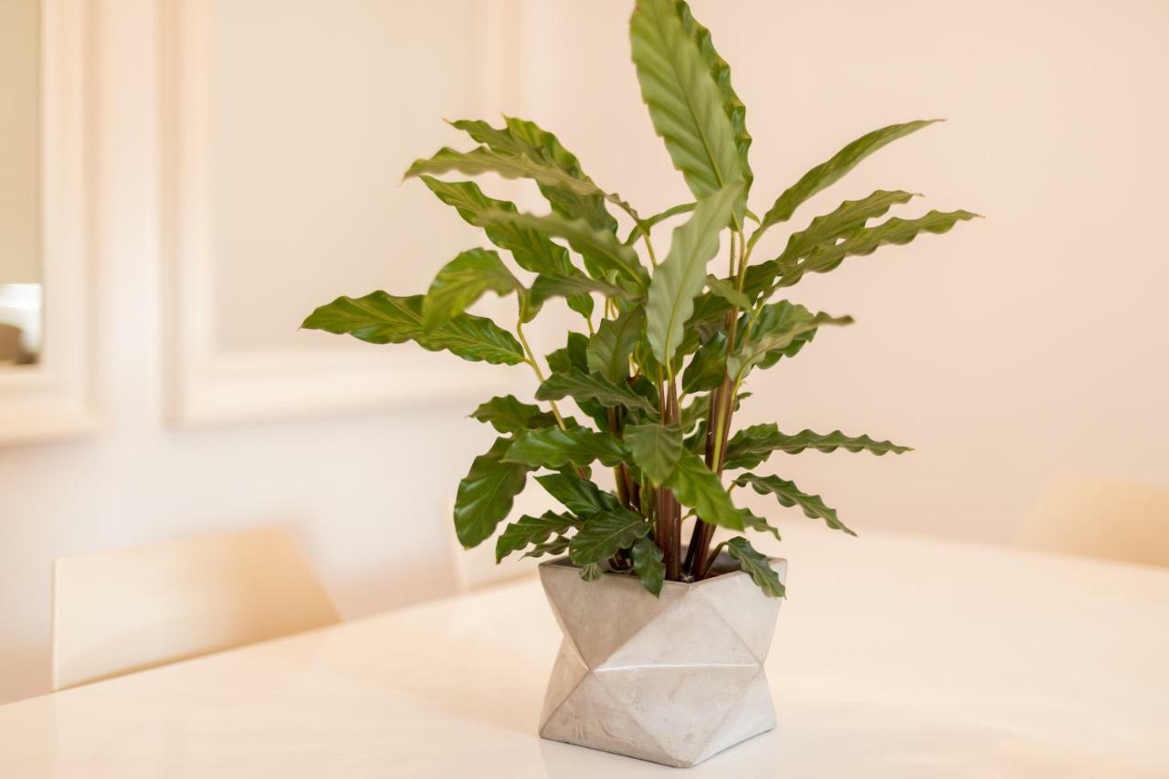 Alfama Modern Two-Bedroom Apartment W/ River View And Parking - By Lu Holidays Lisboa Kültér fotó